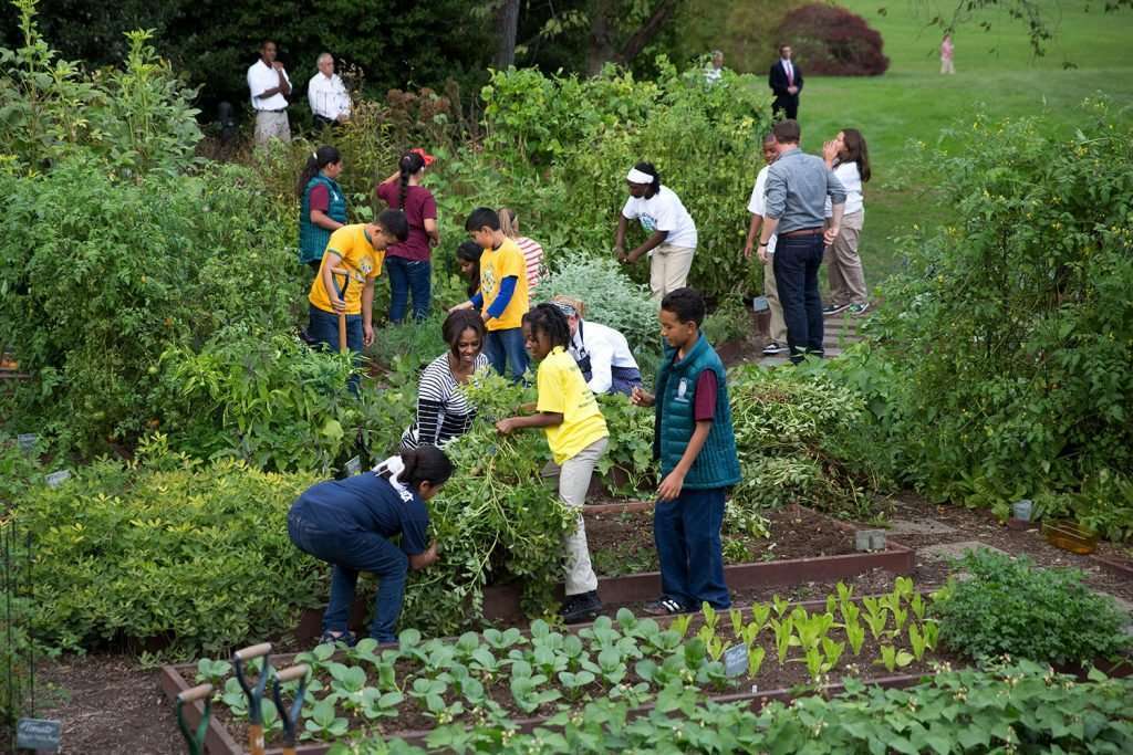 Garden Programs Inspired by Mrs. Obama’s White House Kitchen Garden