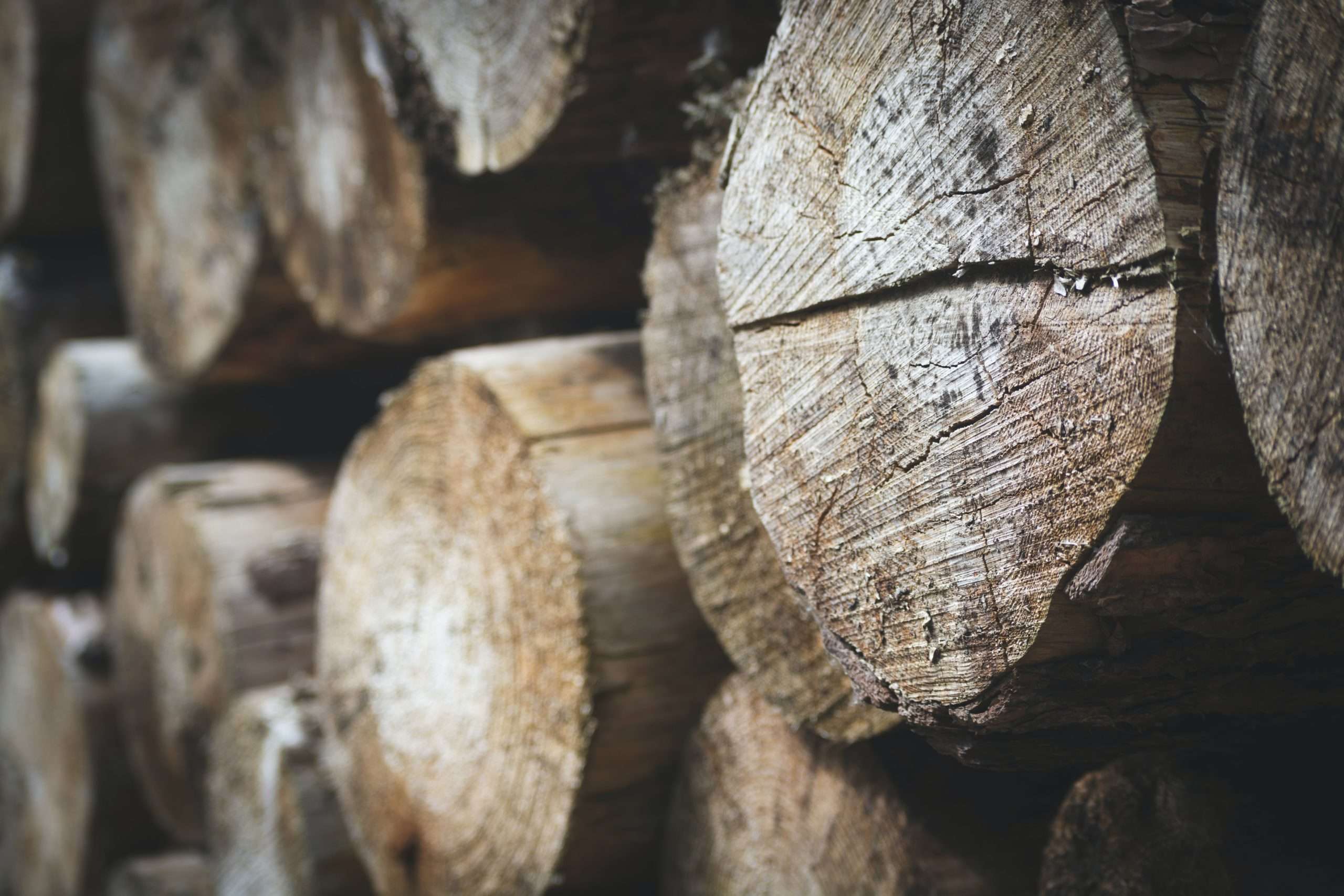 lumber price