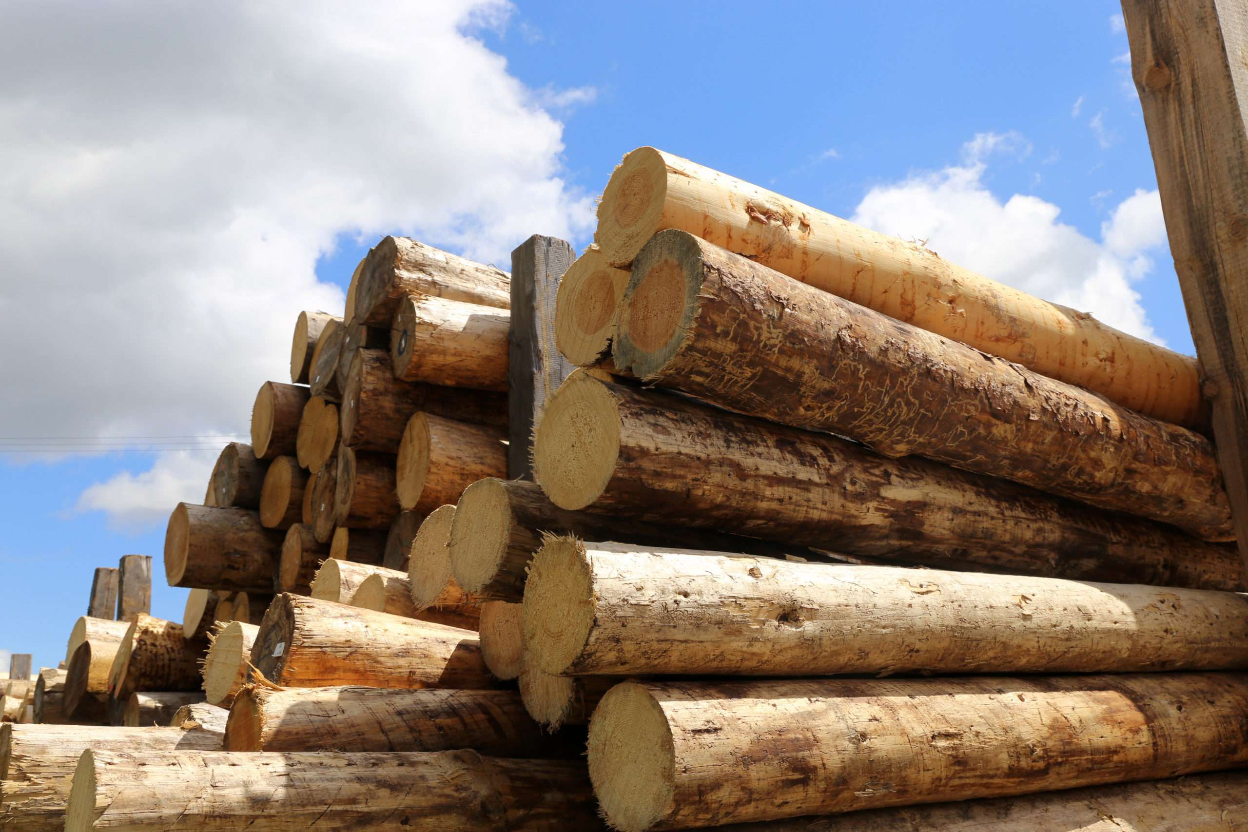 Lumber-Tariffs