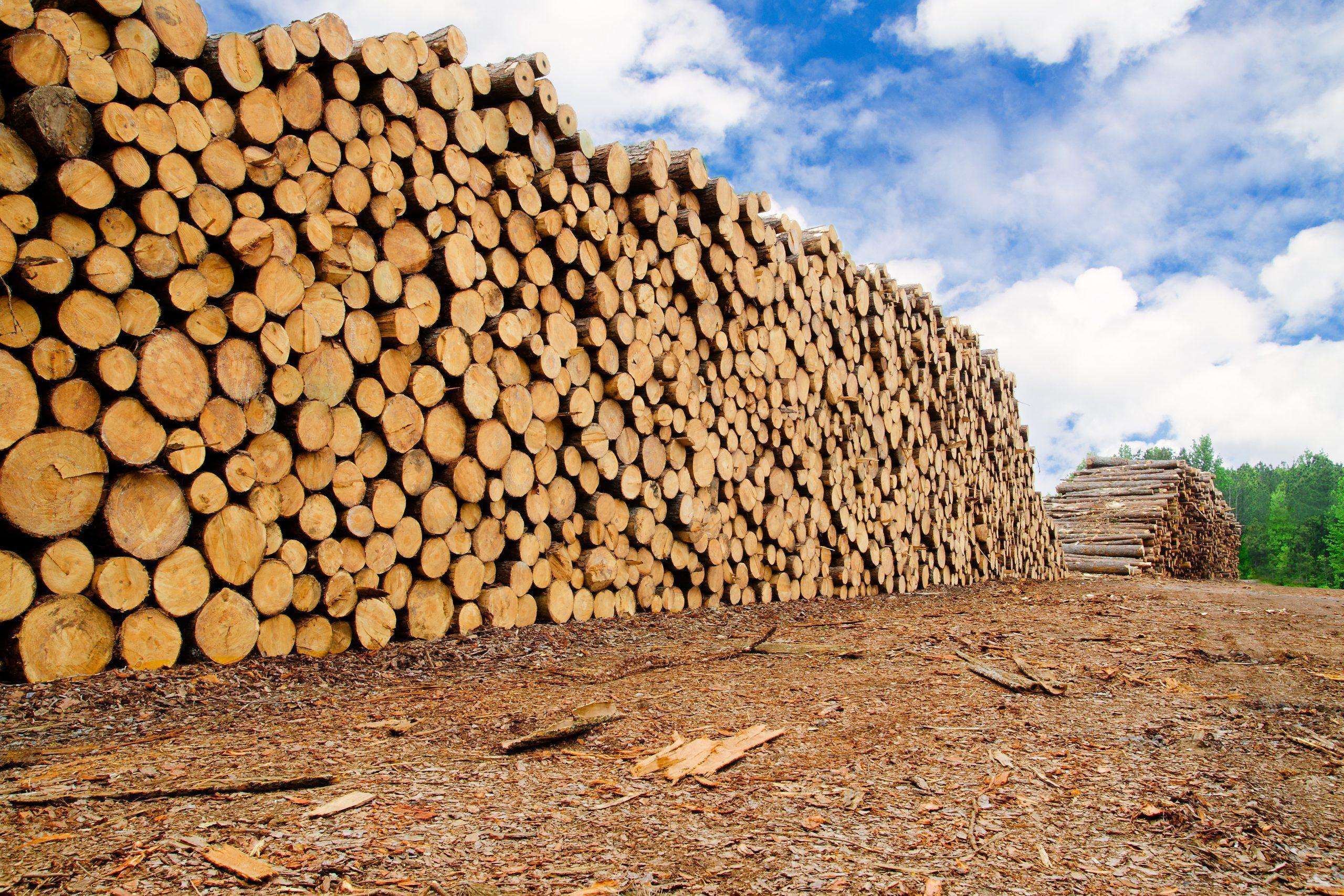 Lumber Prices 2022