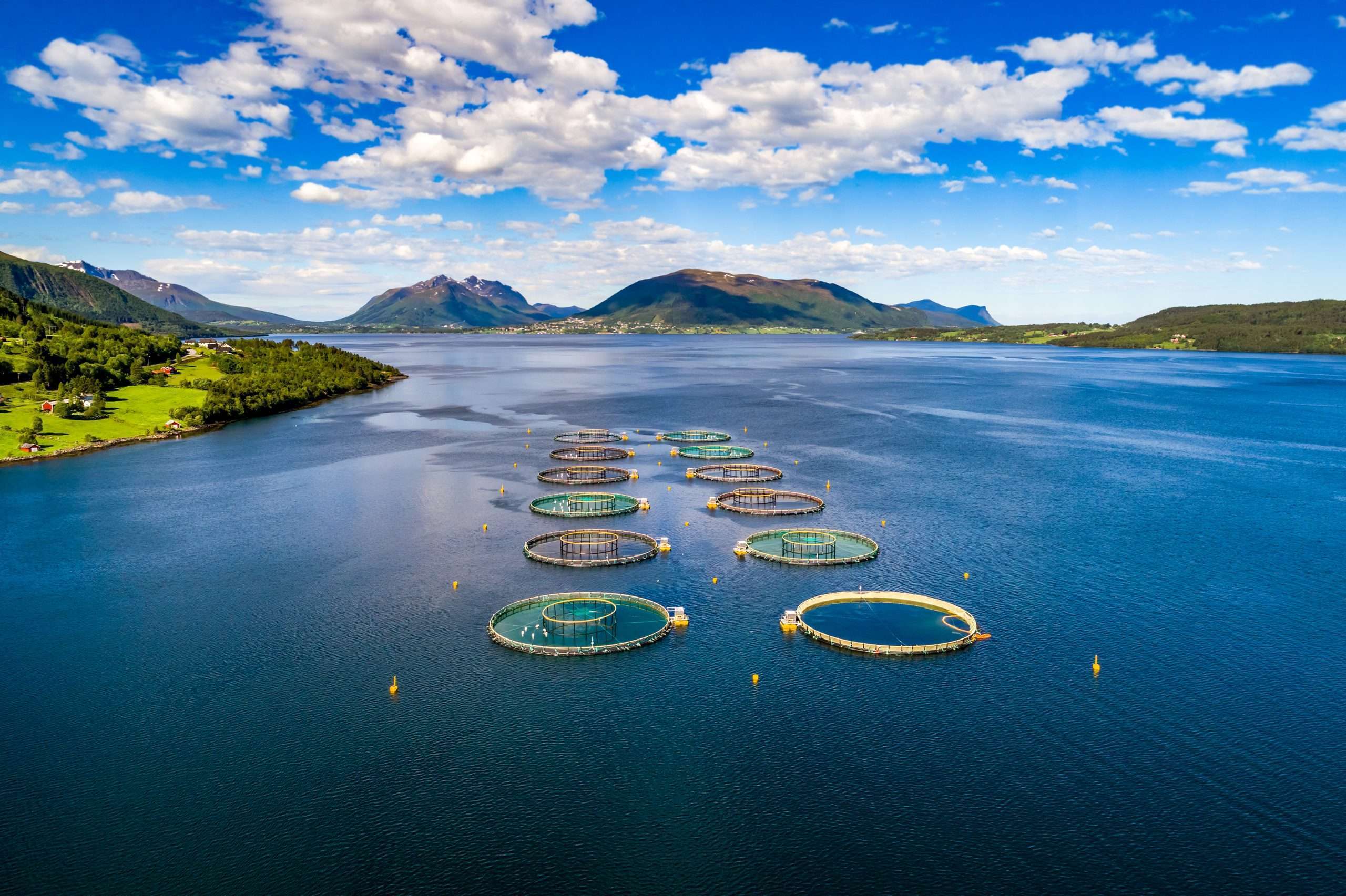 Salmon farm located in Norway. Credit By Andrey Armyagov